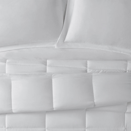 Truly Calm Antimicrobial Comforter Set & Reviews Wayfair